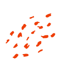 shape2